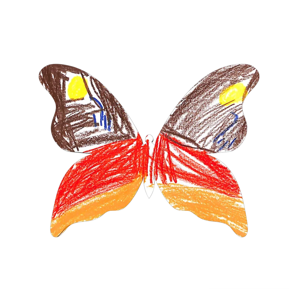 Original Butterfly Image