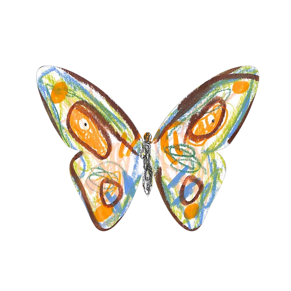 Original Butterfly Image