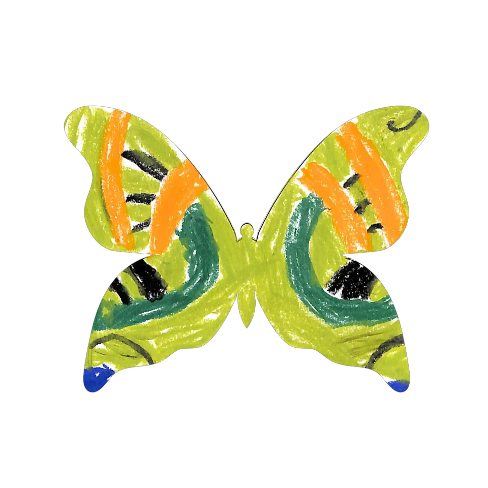 Original Butterfly Image