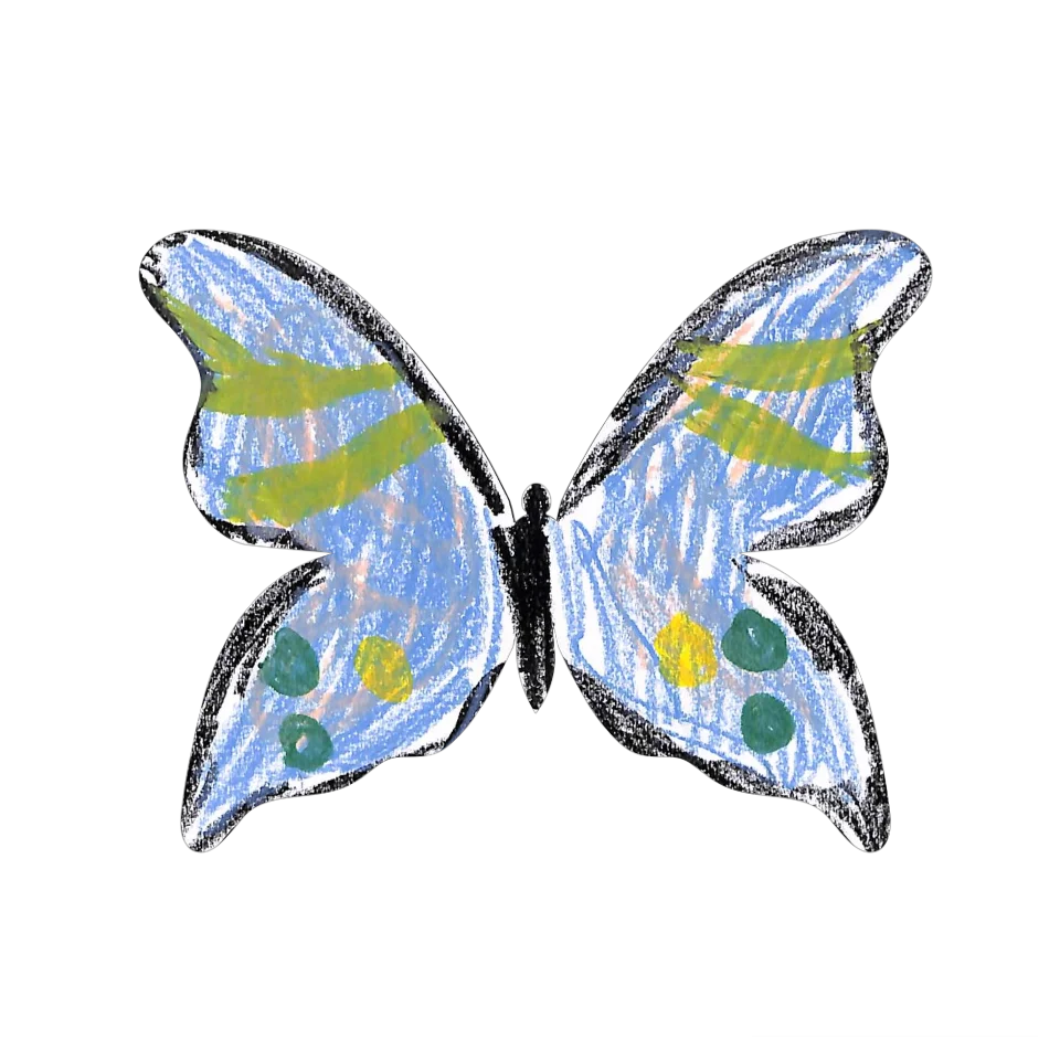Original Butterfly Image
