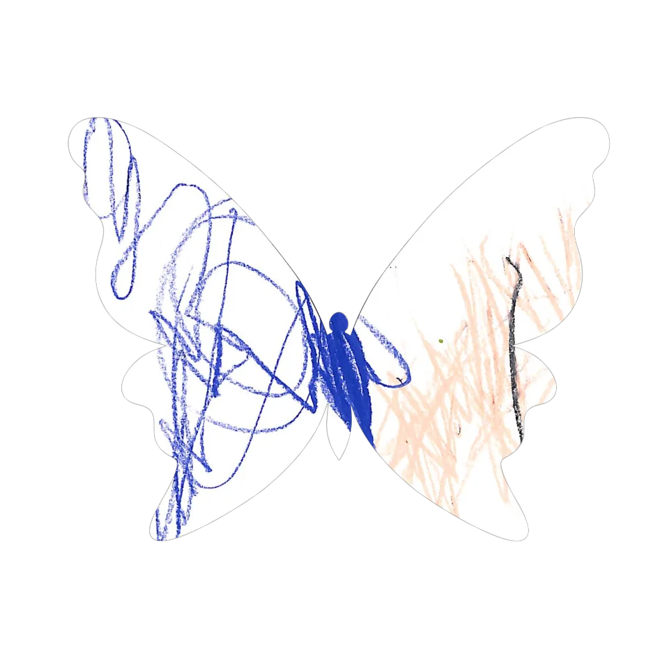 Original Butterfly Image