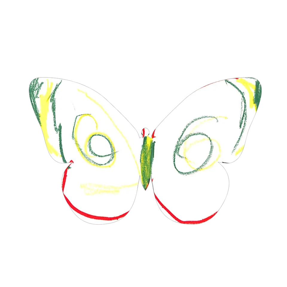 Original Butterfly Image