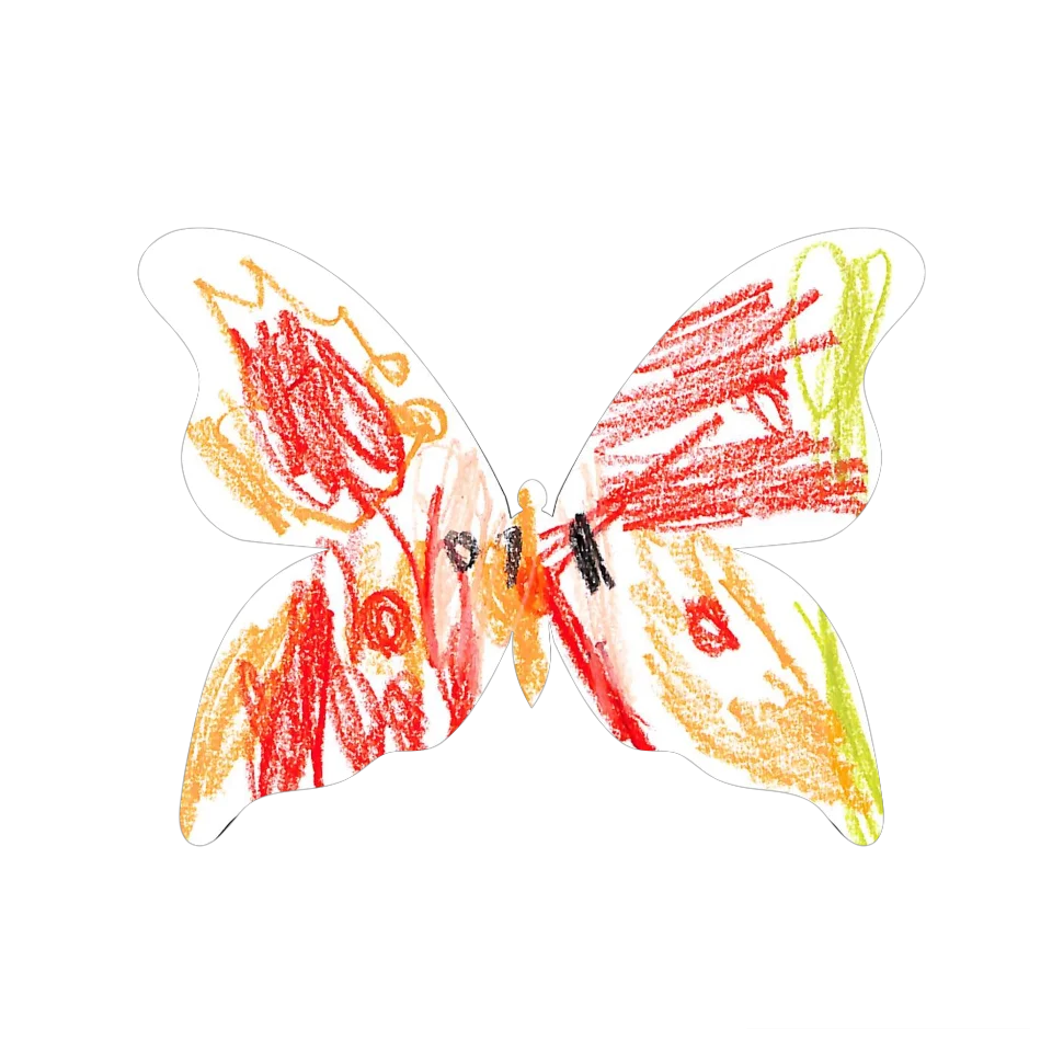 Original Butterfly Image