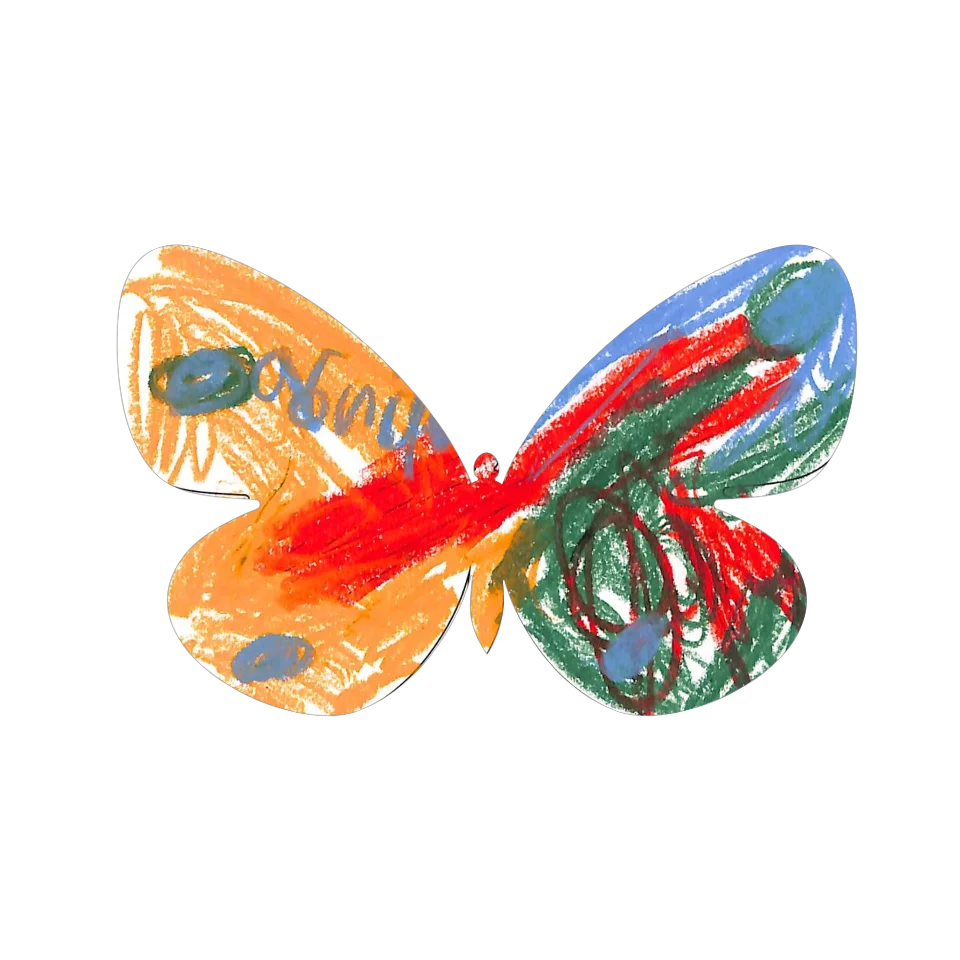 Original Butterfly Image