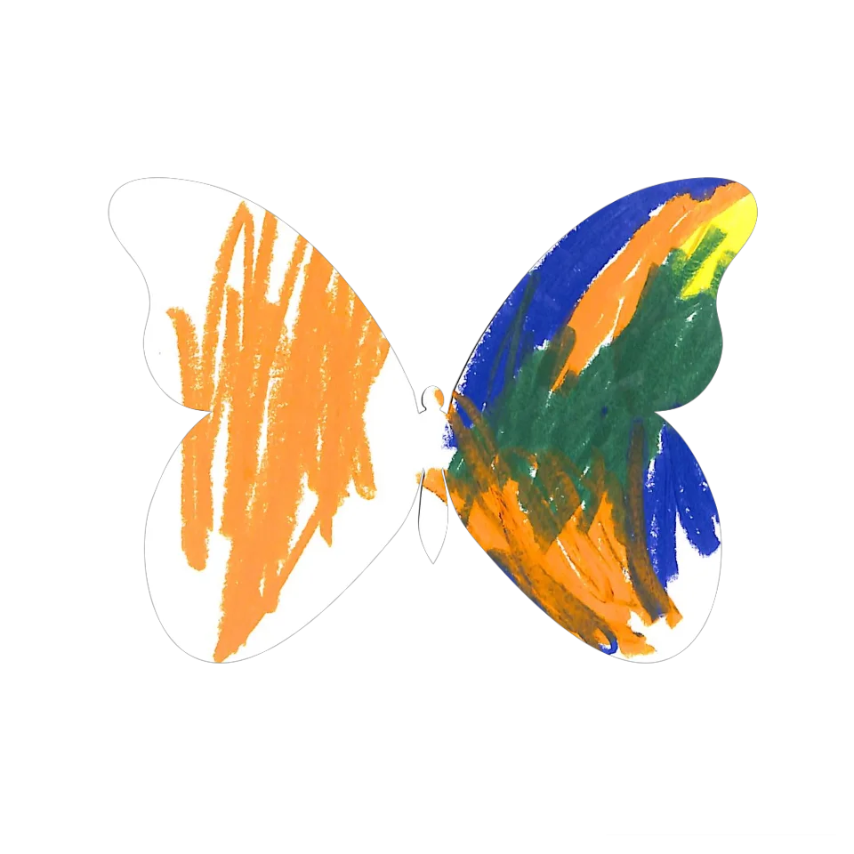 Original Butterfly Image