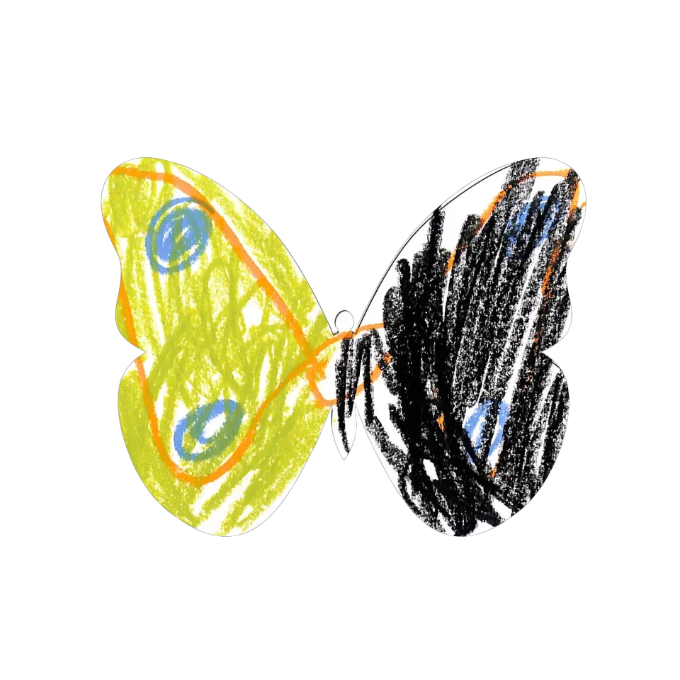 Original Butterfly Image