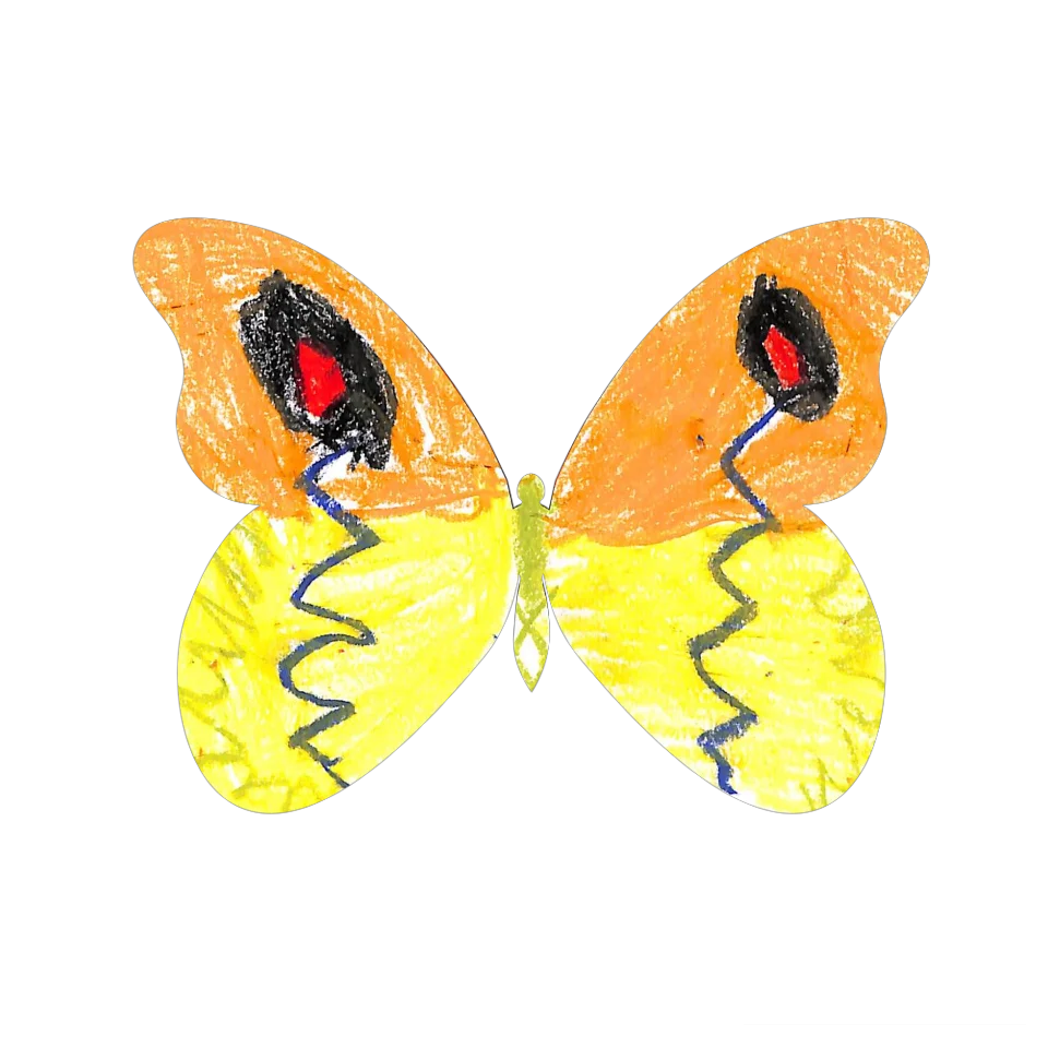 Original Butterfly Image