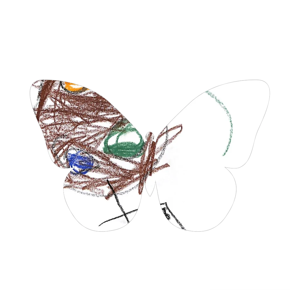 Original Butterfly Image
