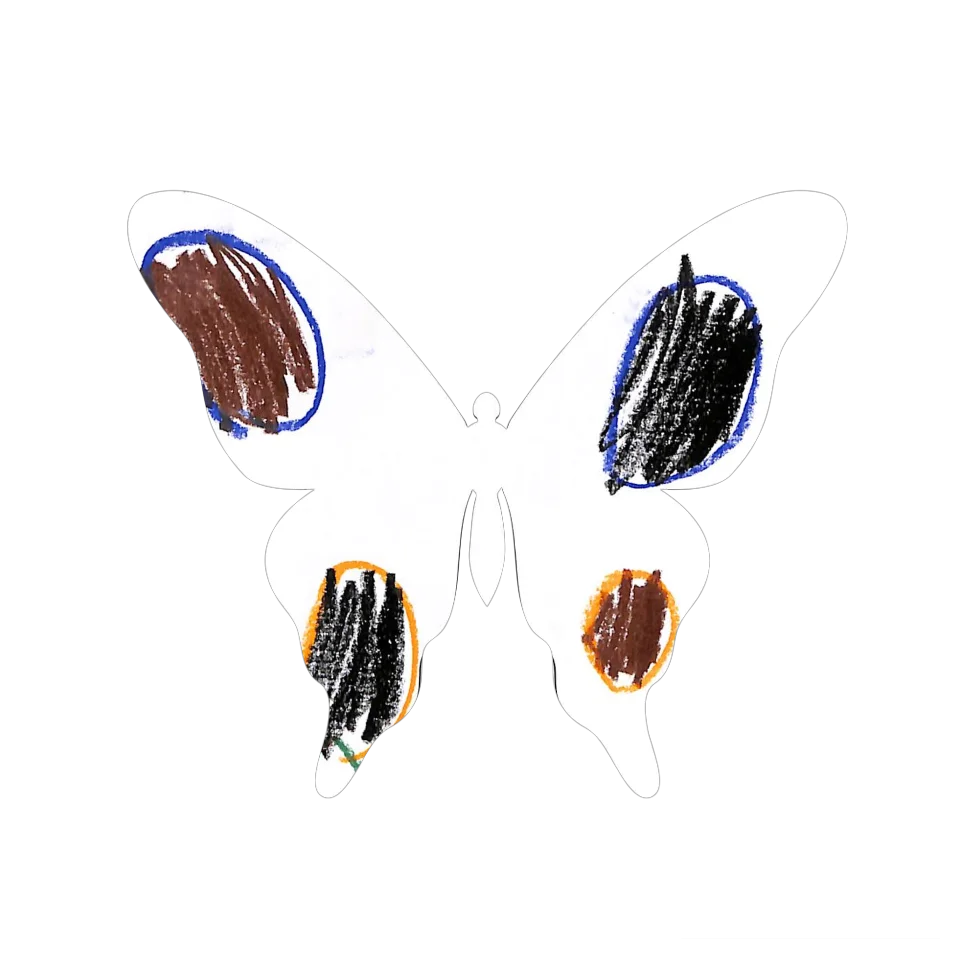 Original Butterfly Image