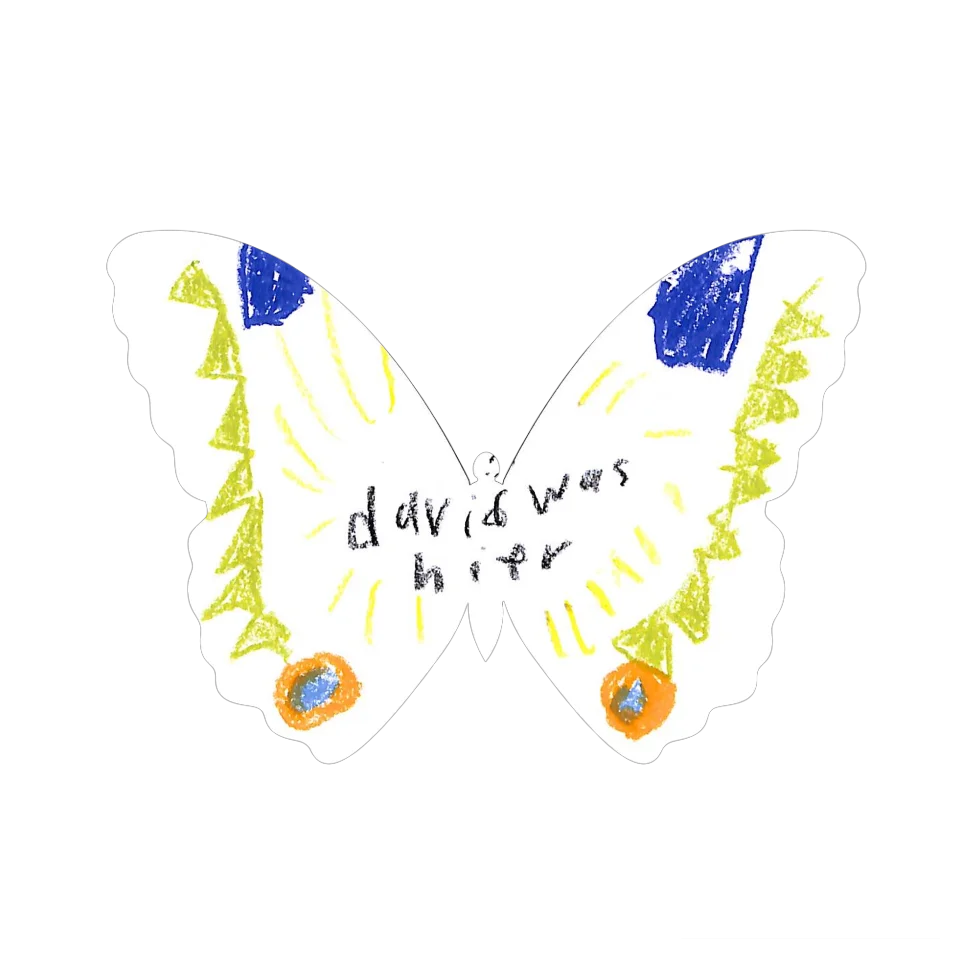 Original Butterfly Image