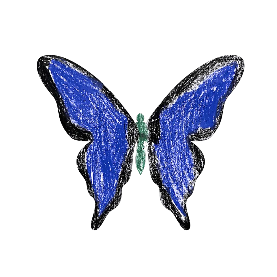 Original Butterfly Image