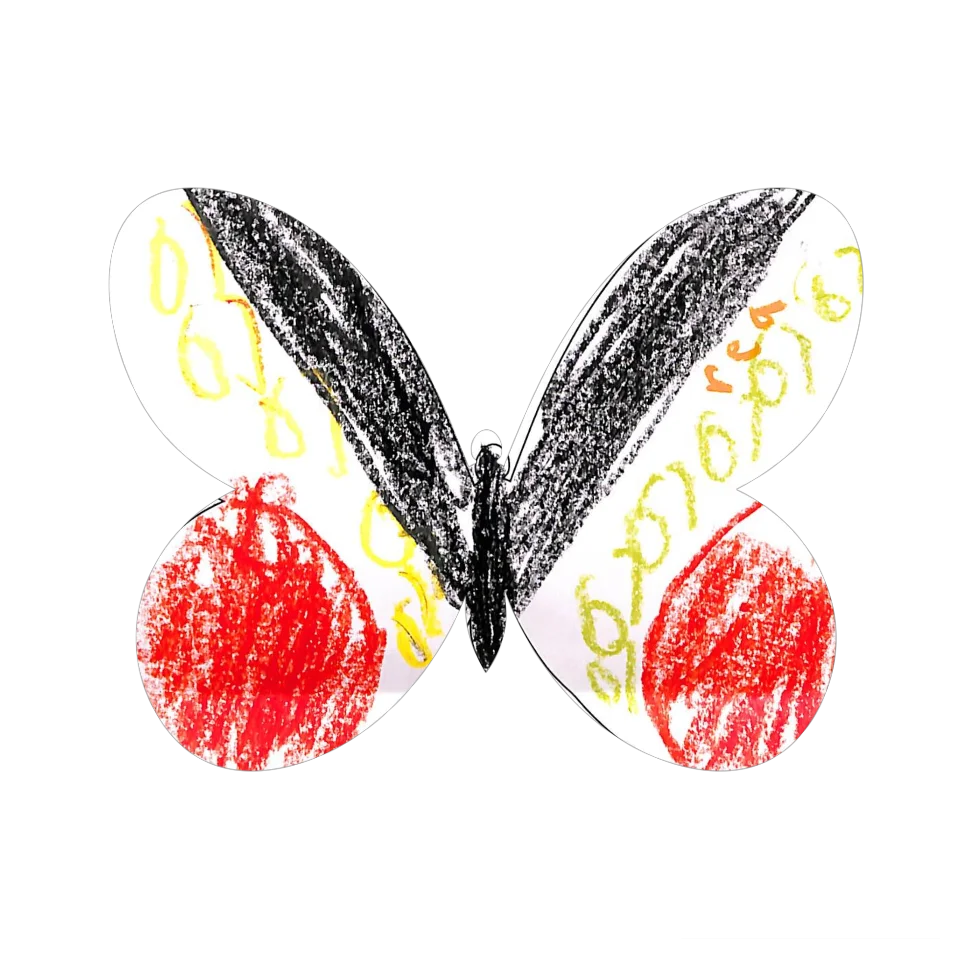 Original Butterfly Image