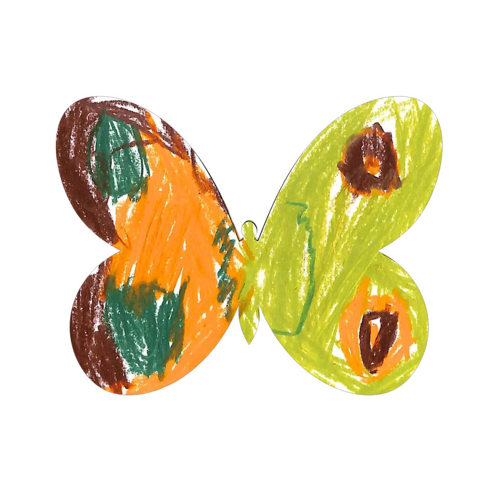 Original Butterfly Image