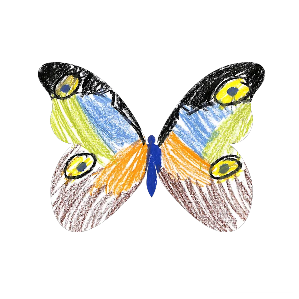 Original Butterfly Image