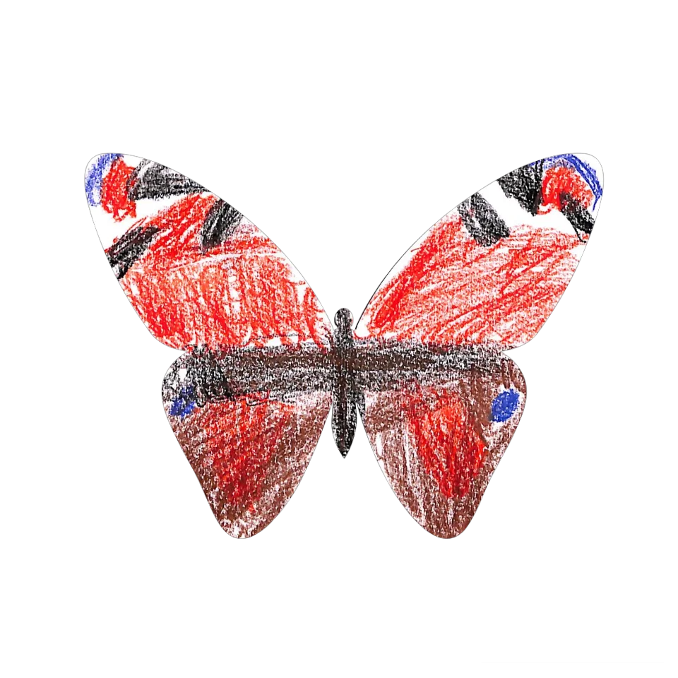 Original Butterfly Image