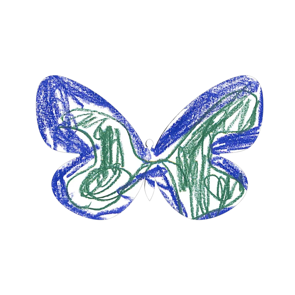 Original Butterfly Image