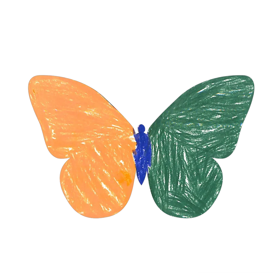 Original Butterfly Image