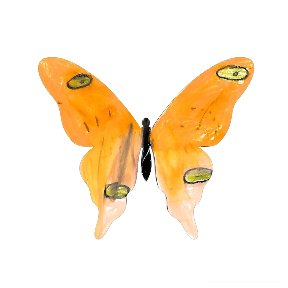 Original Butterfly Image