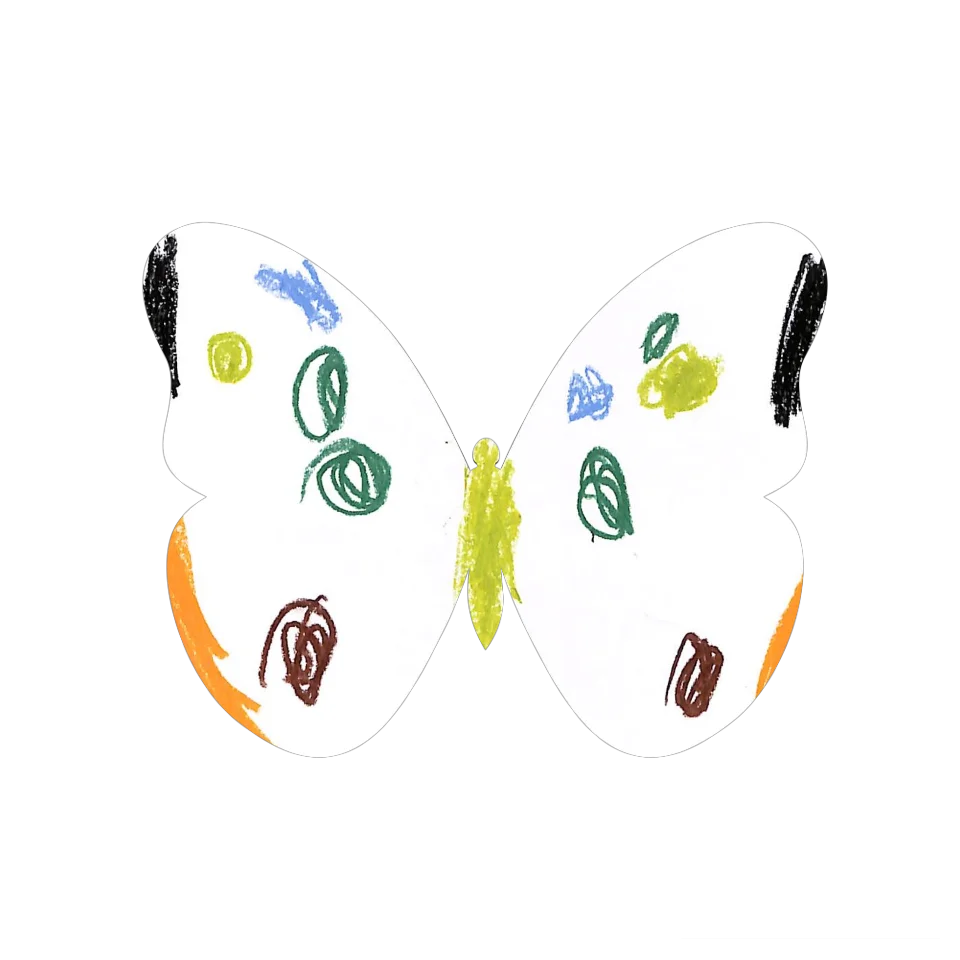 Original Butterfly Image