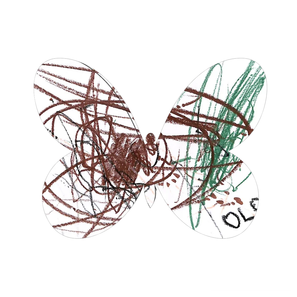 Original Butterfly Image