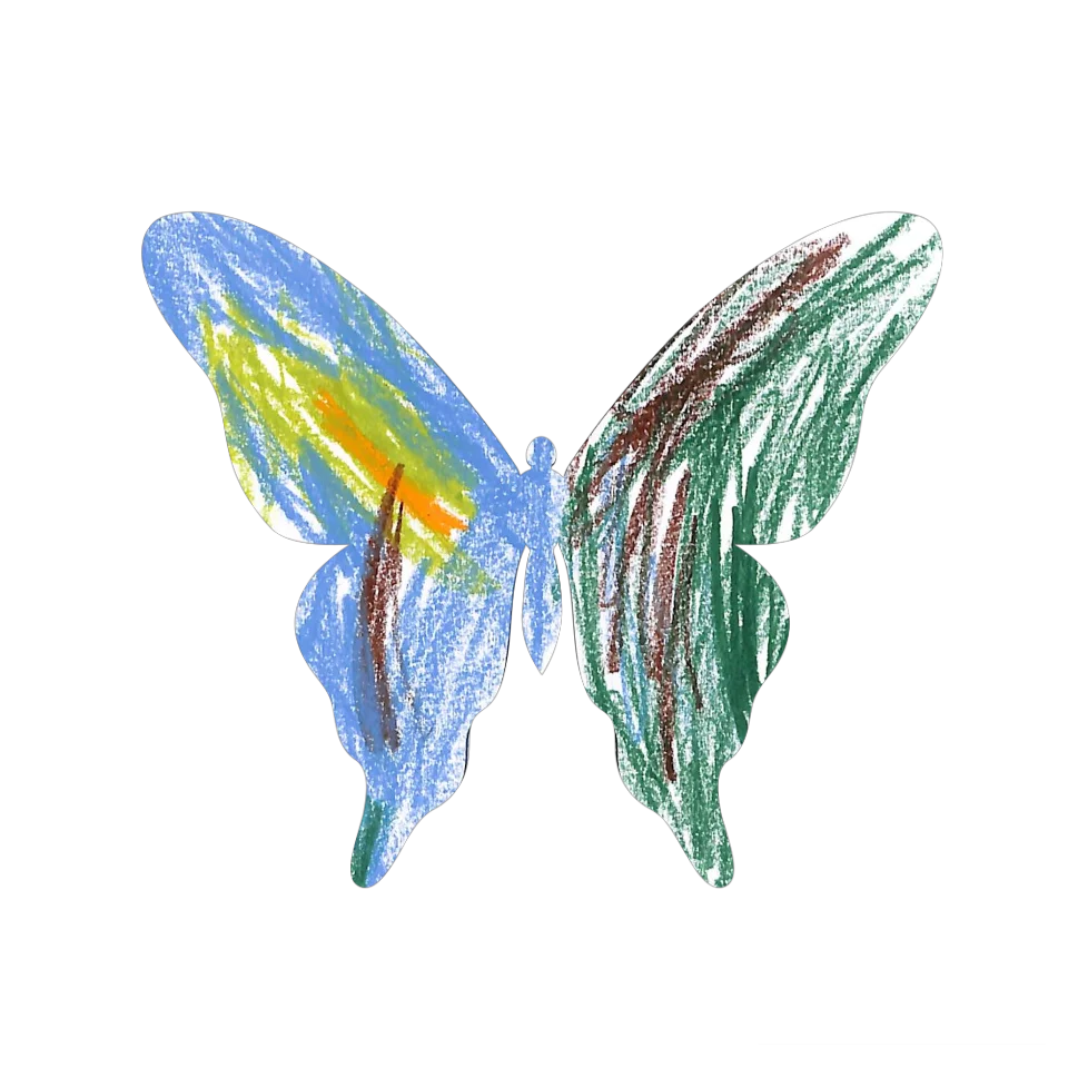 Original Butterfly Image