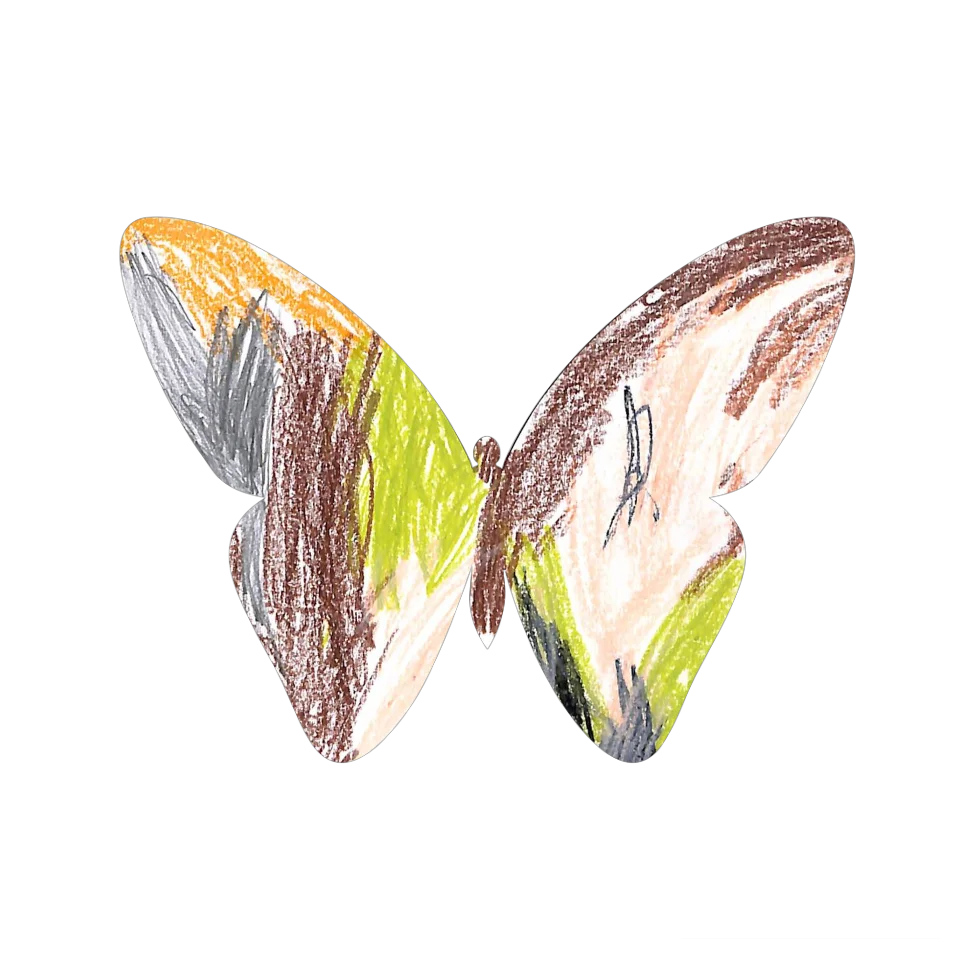Original Butterfly Image