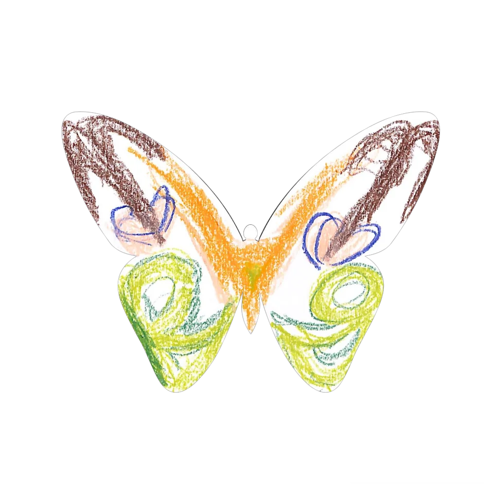 Original Butterfly Image