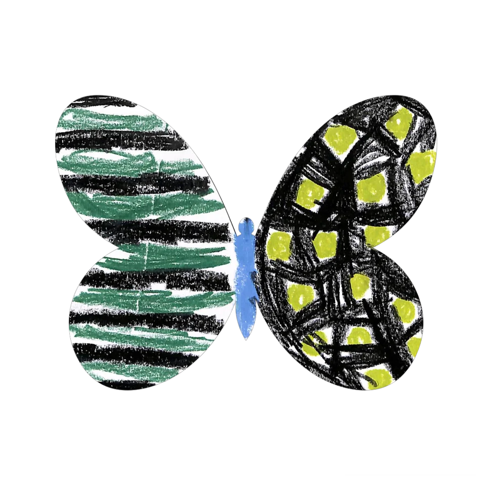 Original Butterfly Image