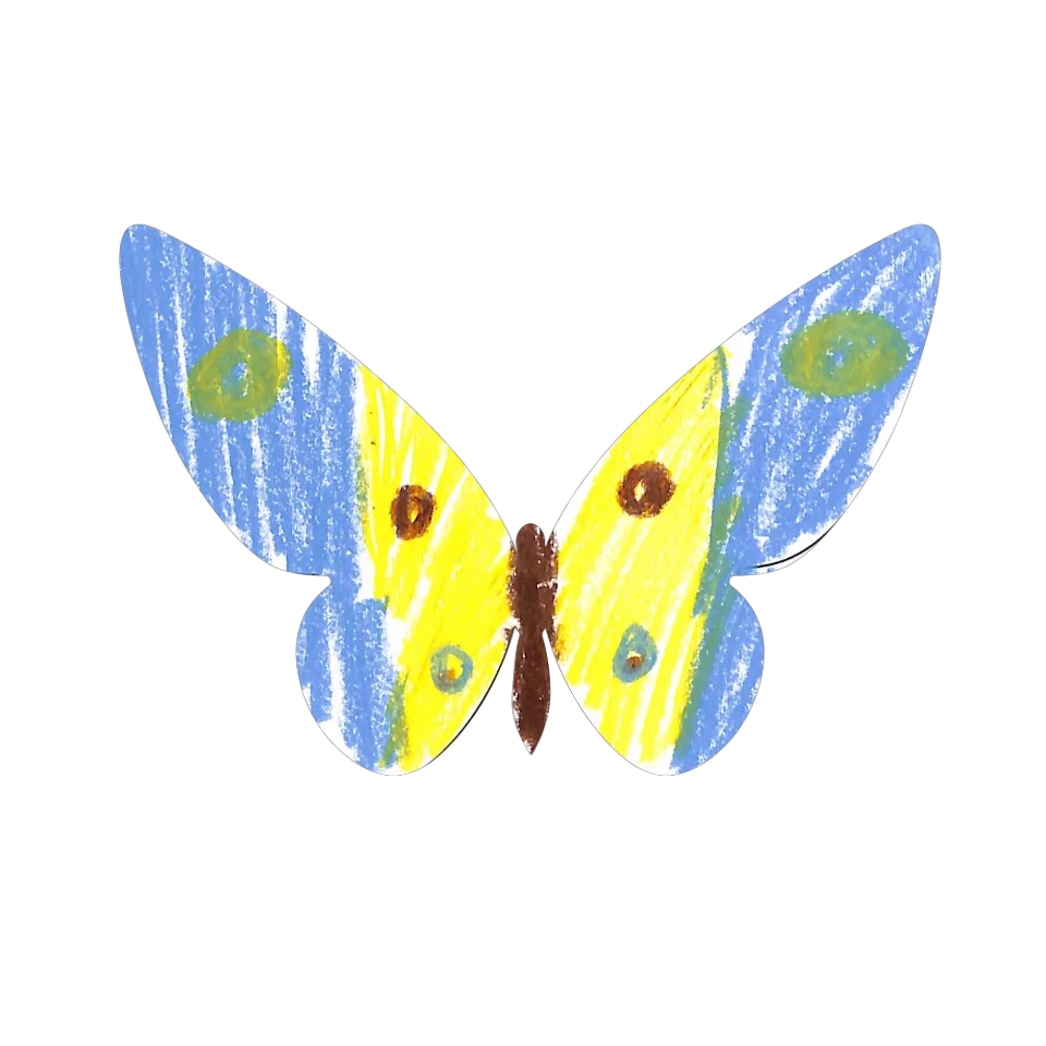 Original Butterfly Image