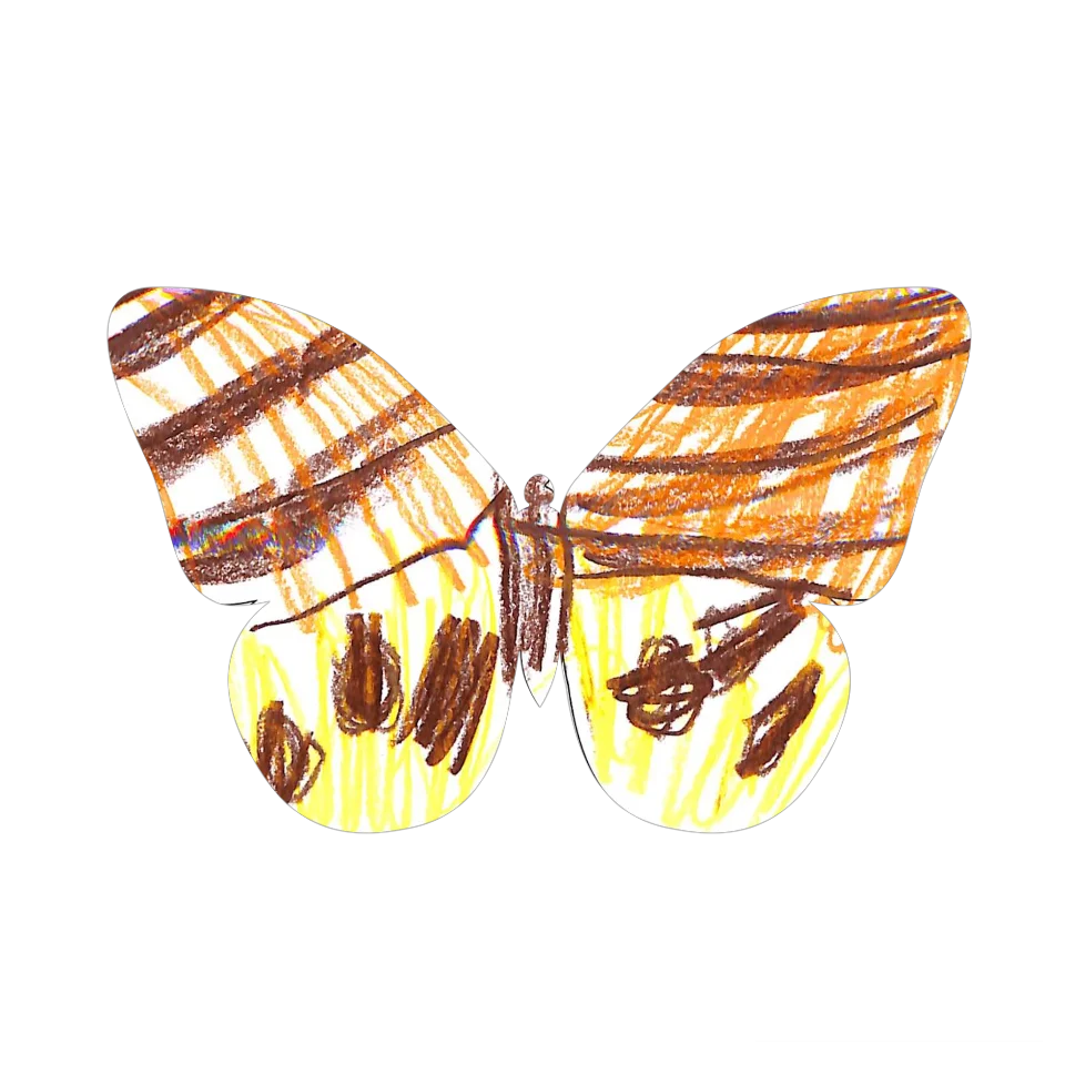 Original Butterfly Image