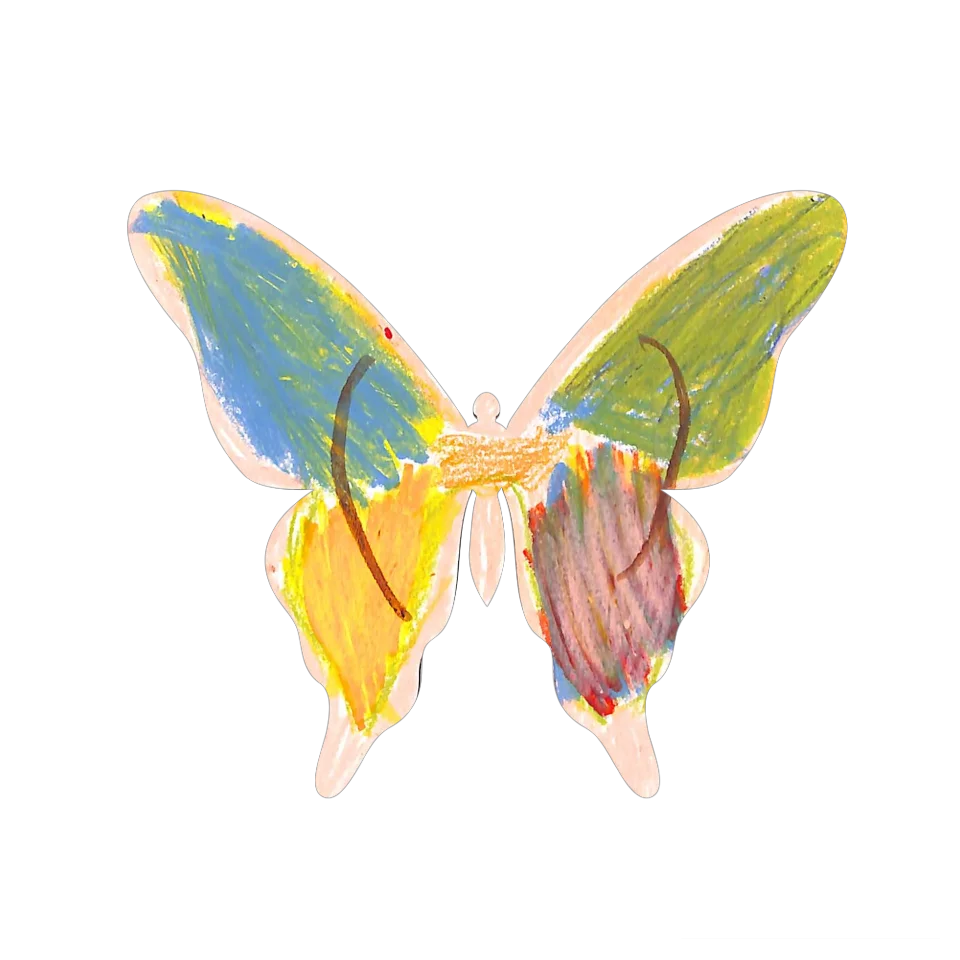 Original Butterfly Image