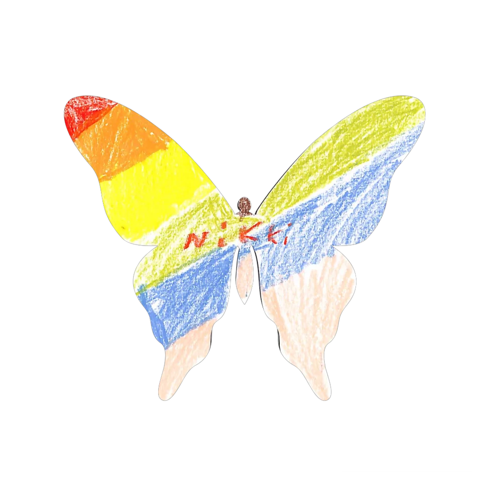 Original Butterfly Image