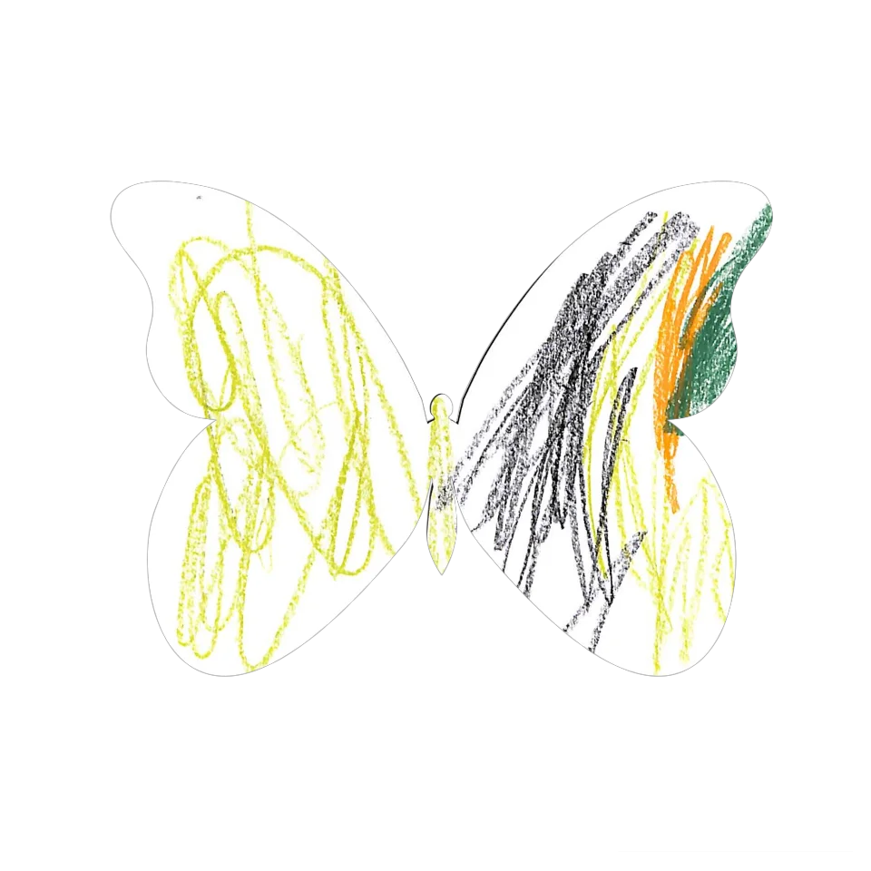 Original Butterfly Image