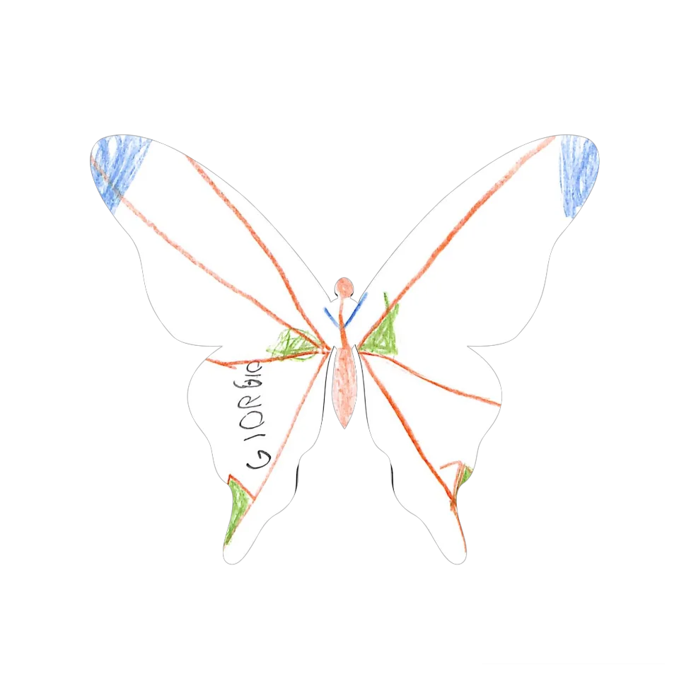 Original Butterfly Image