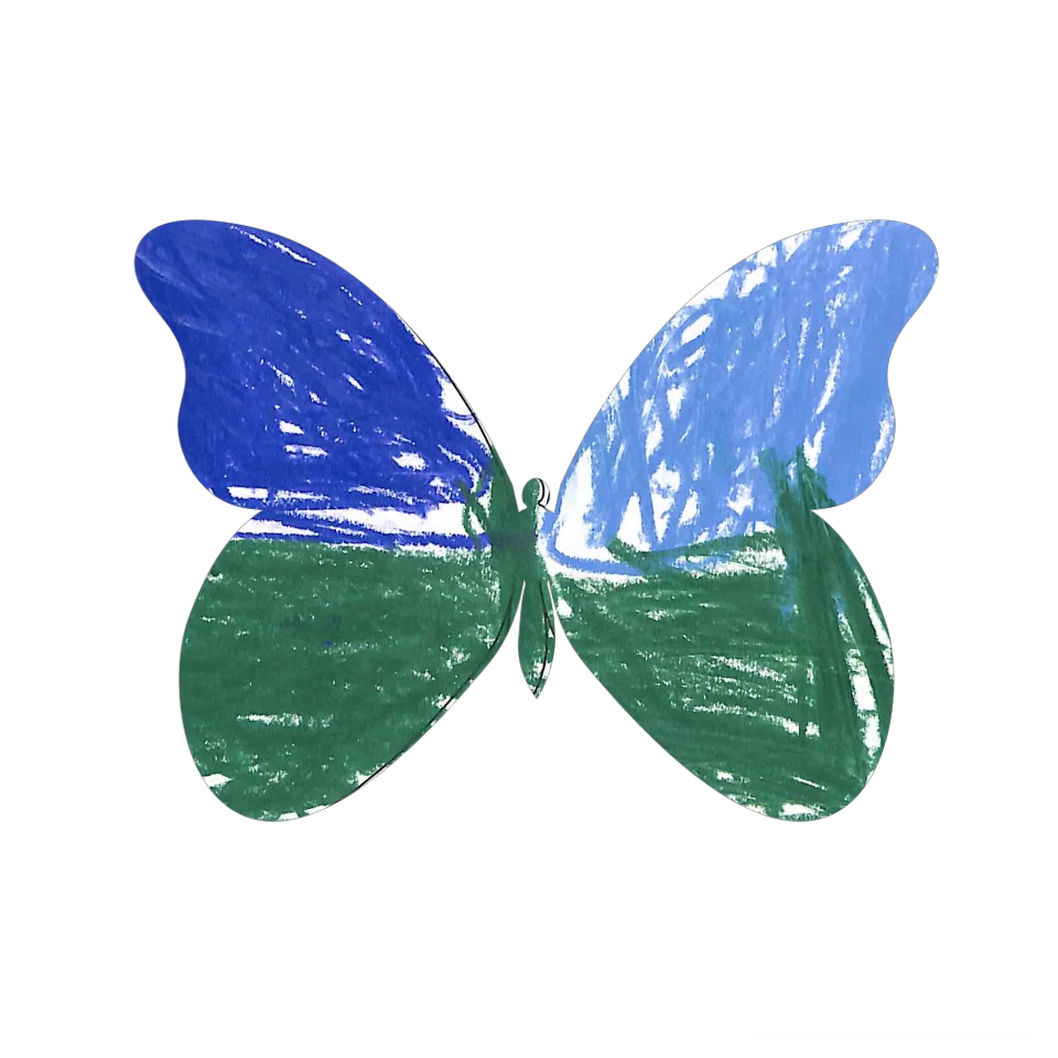 Original Butterfly Image