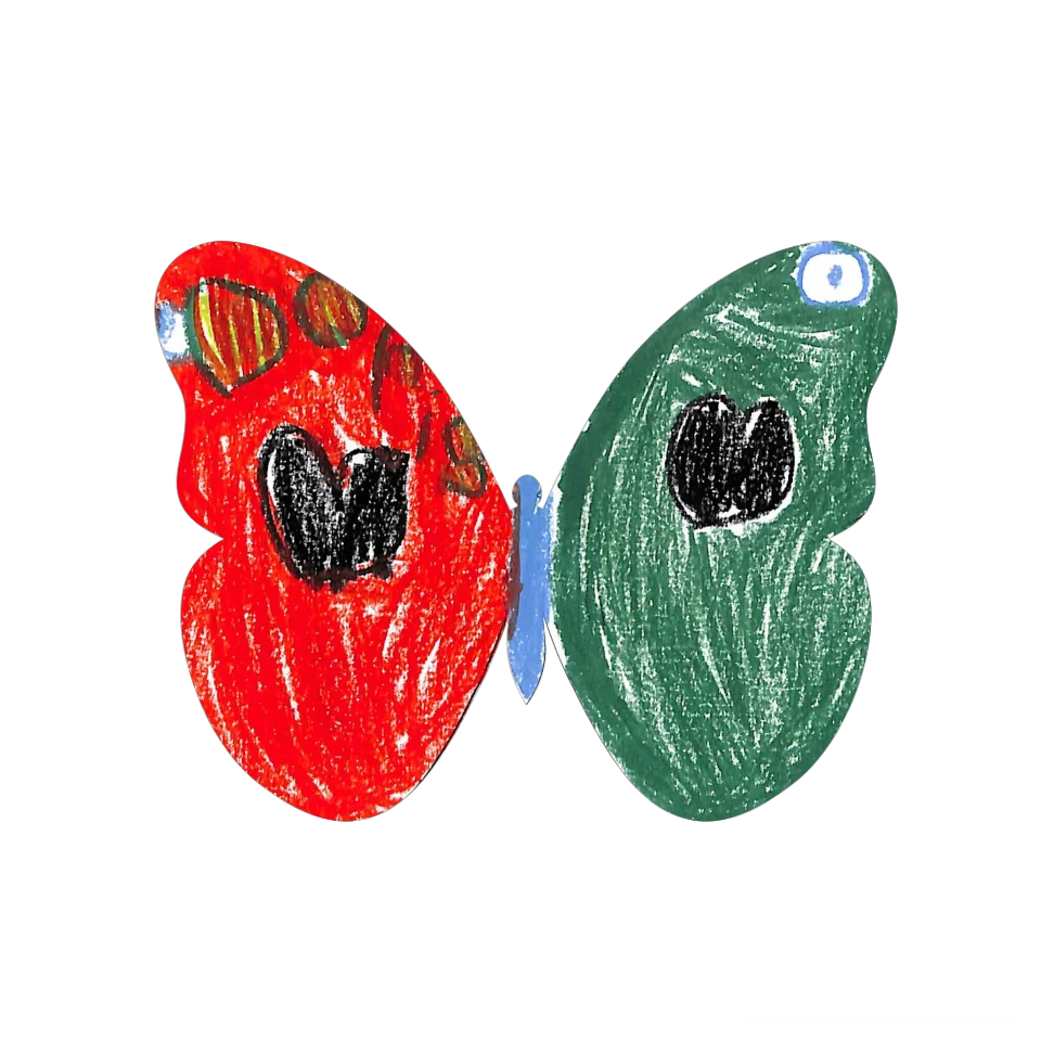 Original Butterfly Image