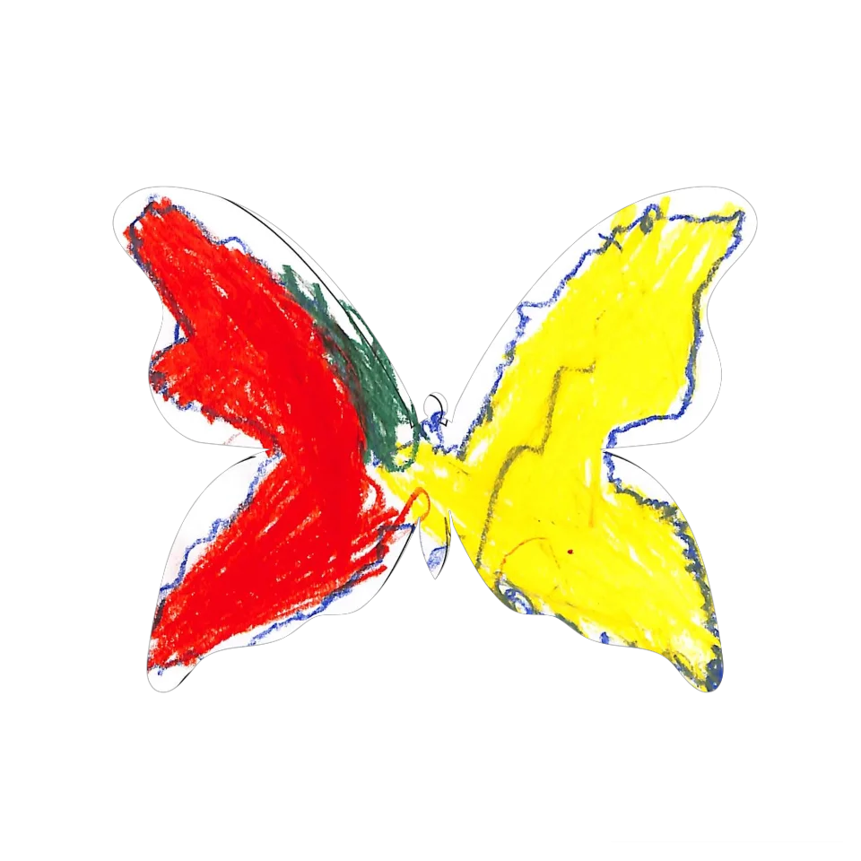 Original Butterfly Image
