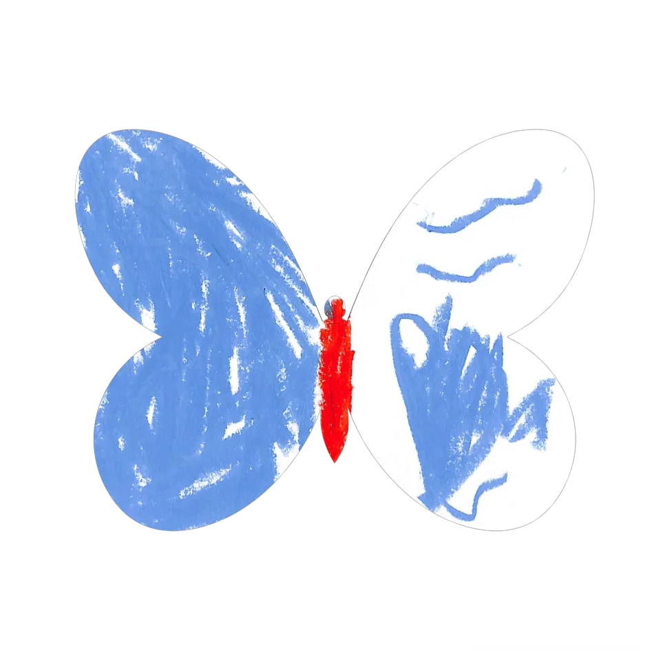 Original Butterfly Image