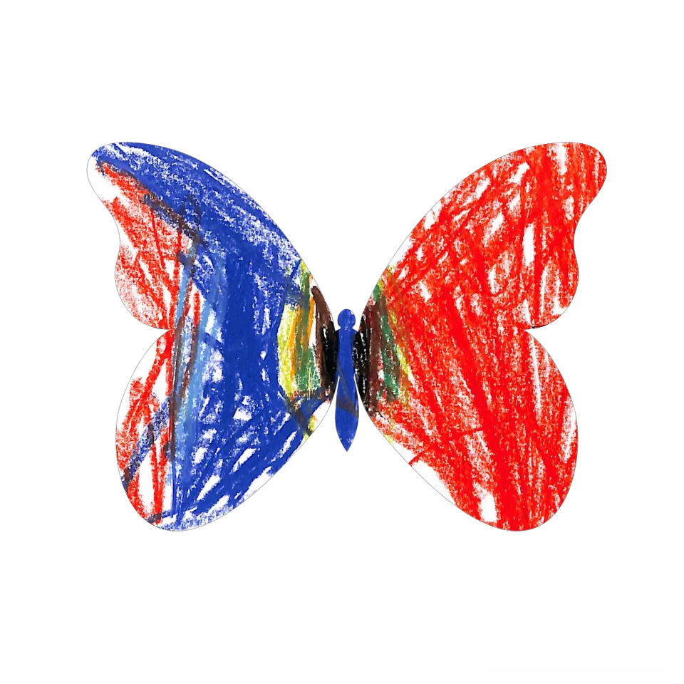 Original Butterfly Image