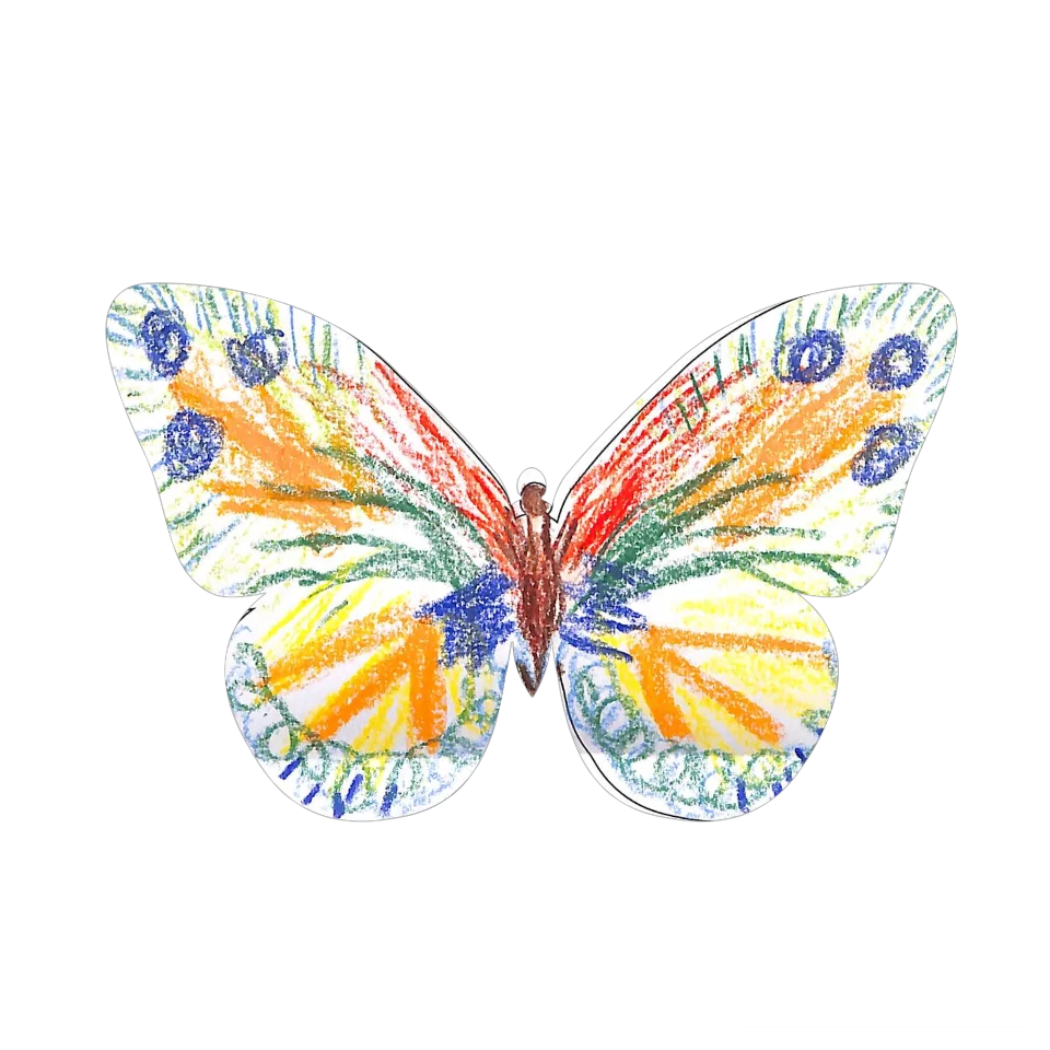 Original Butterfly Image