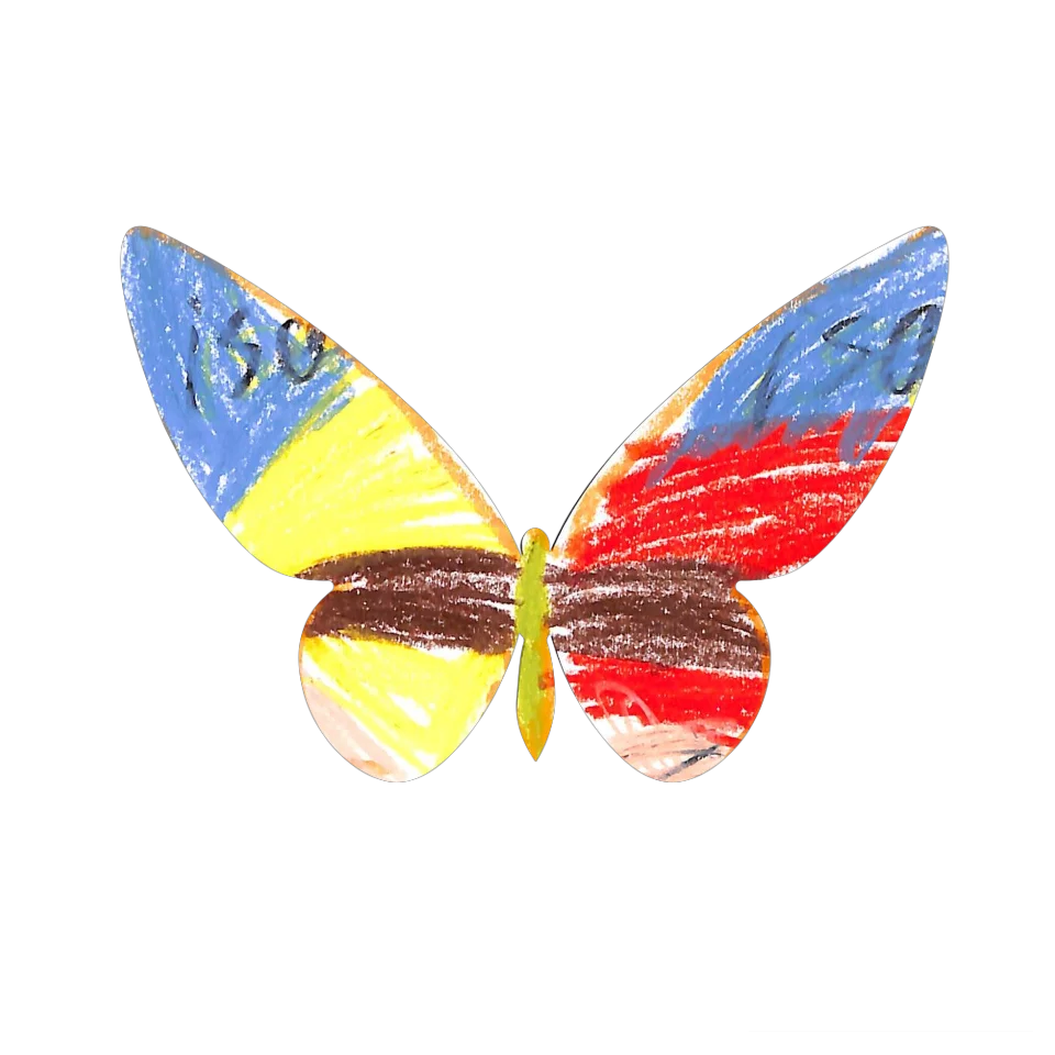 Original Butterfly Image