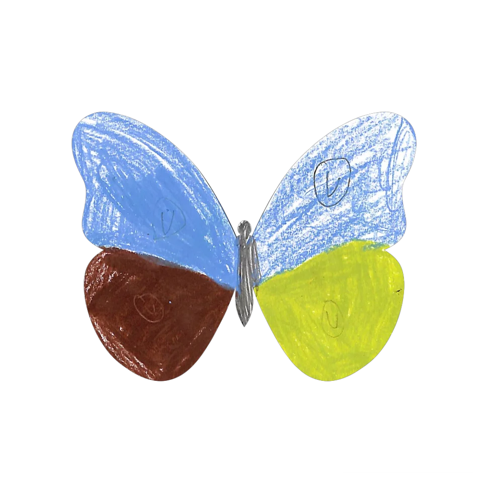 Original Butterfly Image