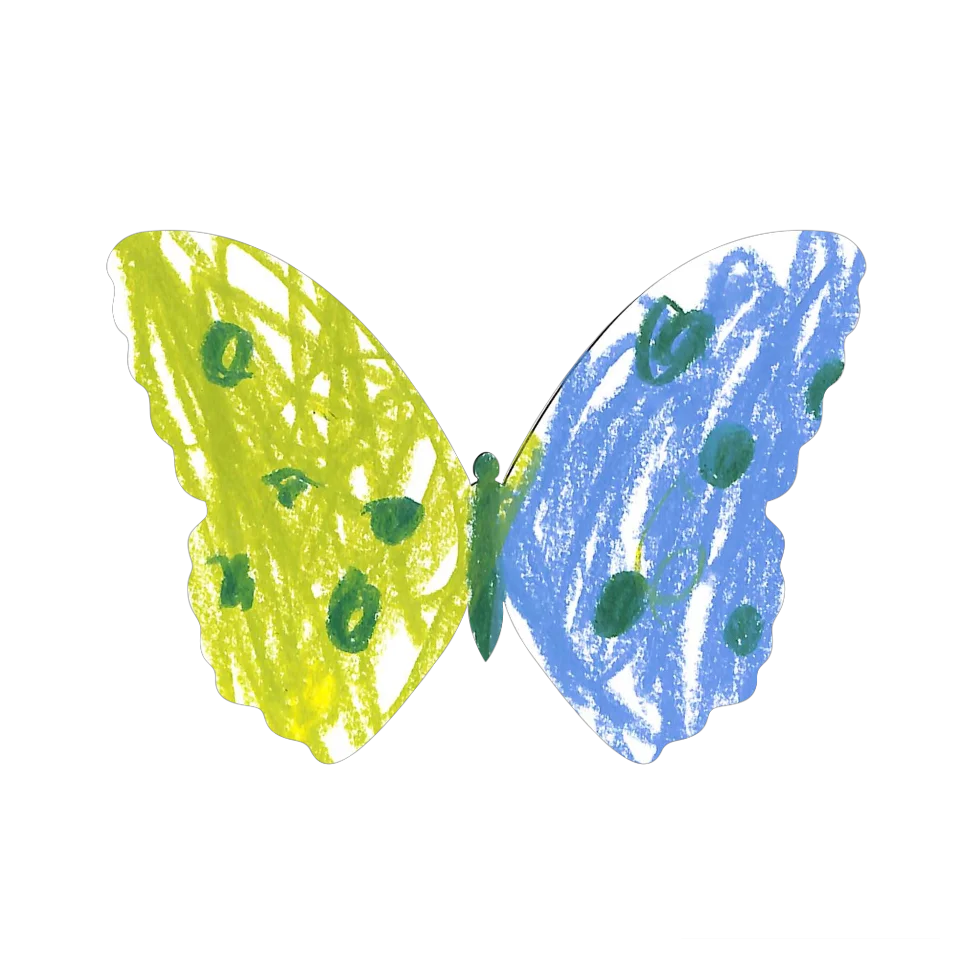 Original Butterfly Image