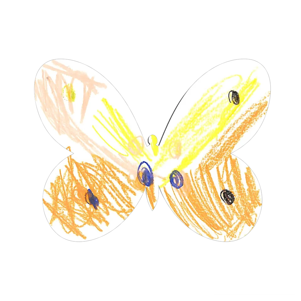 Original Butterfly Image