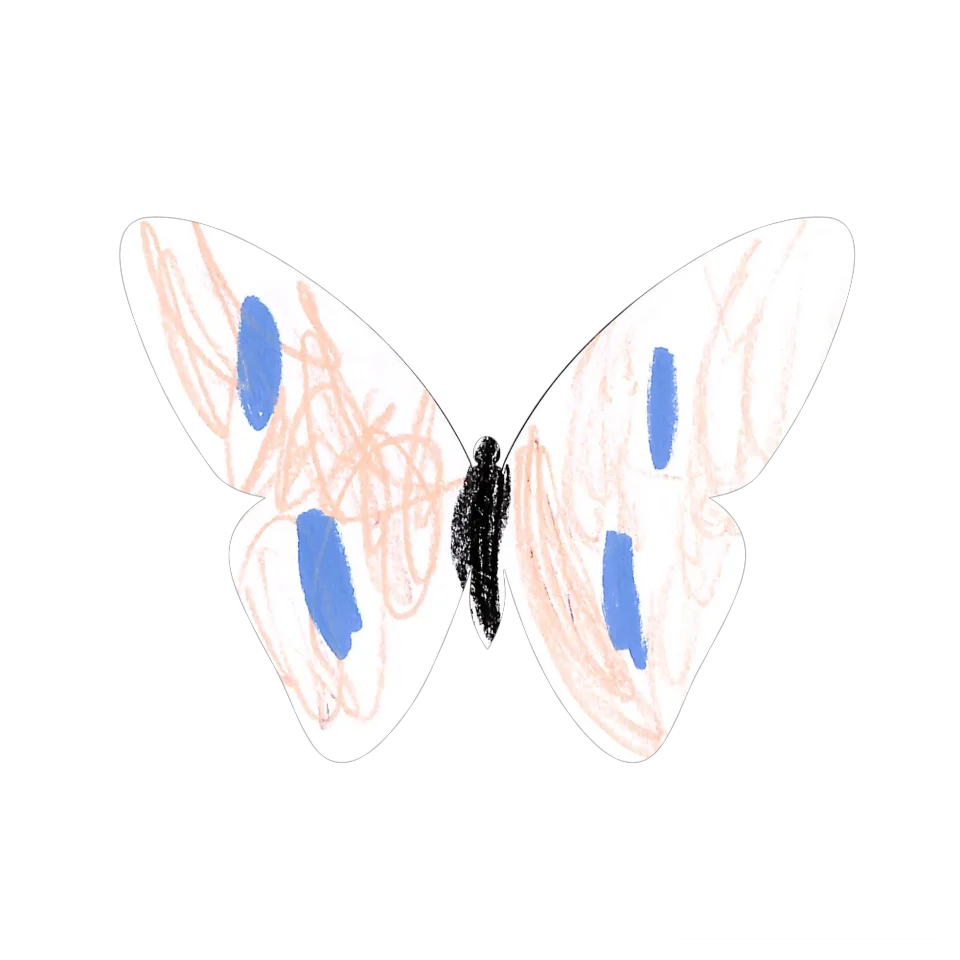 Original Butterfly Image