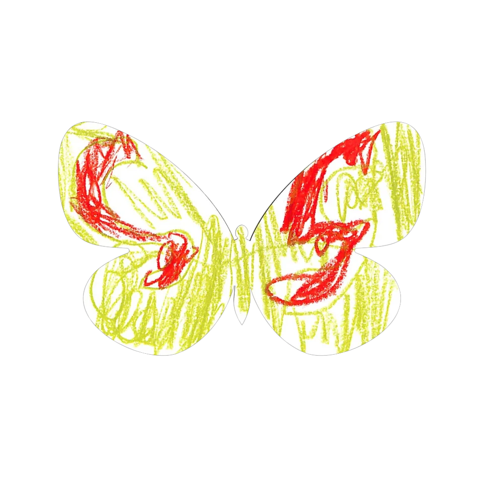 Original Butterfly Image