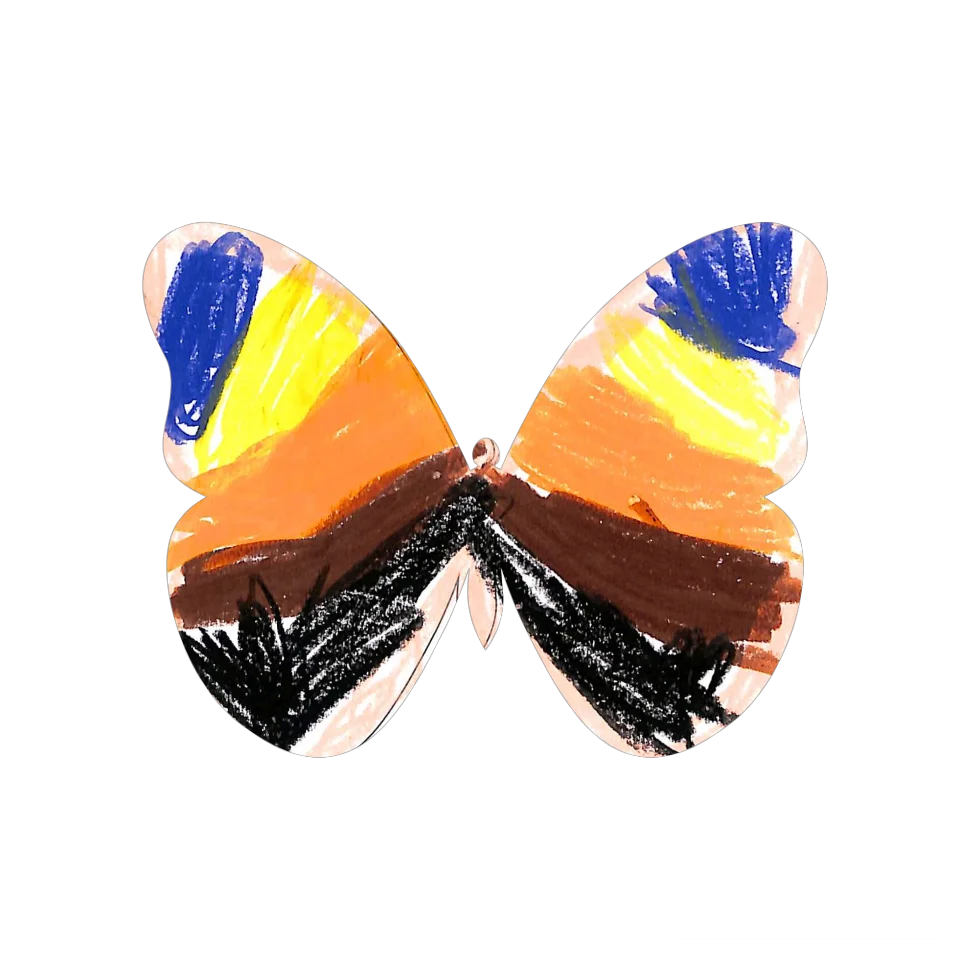 Original Butterfly Image