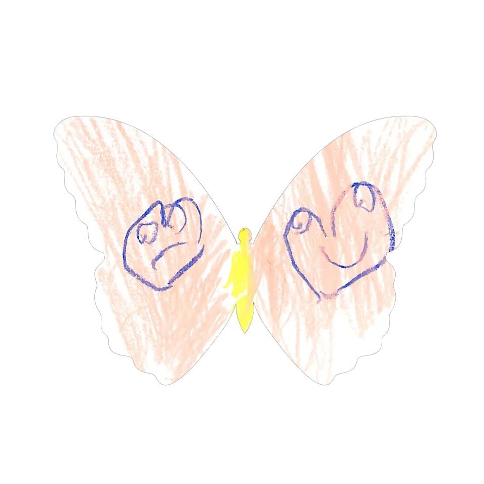 Original Butterfly Image