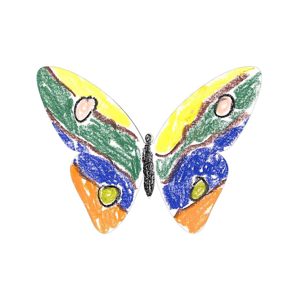 Original Butterfly Image