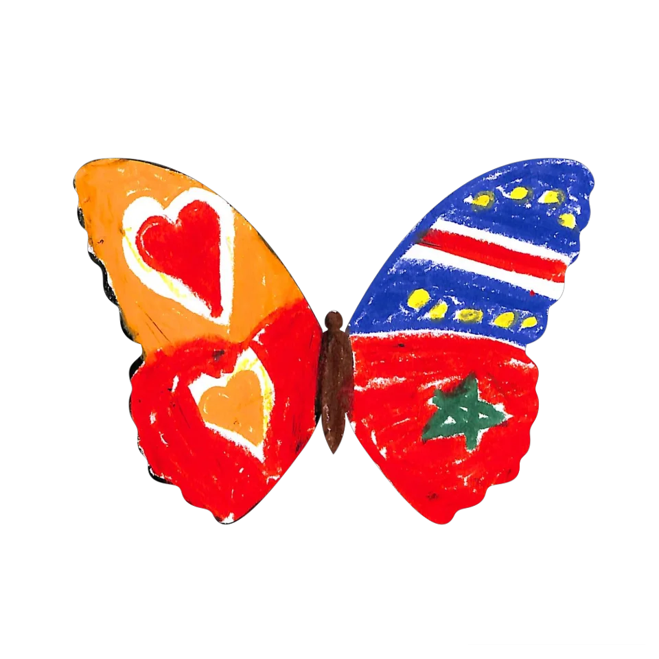 Original Butterfly Image